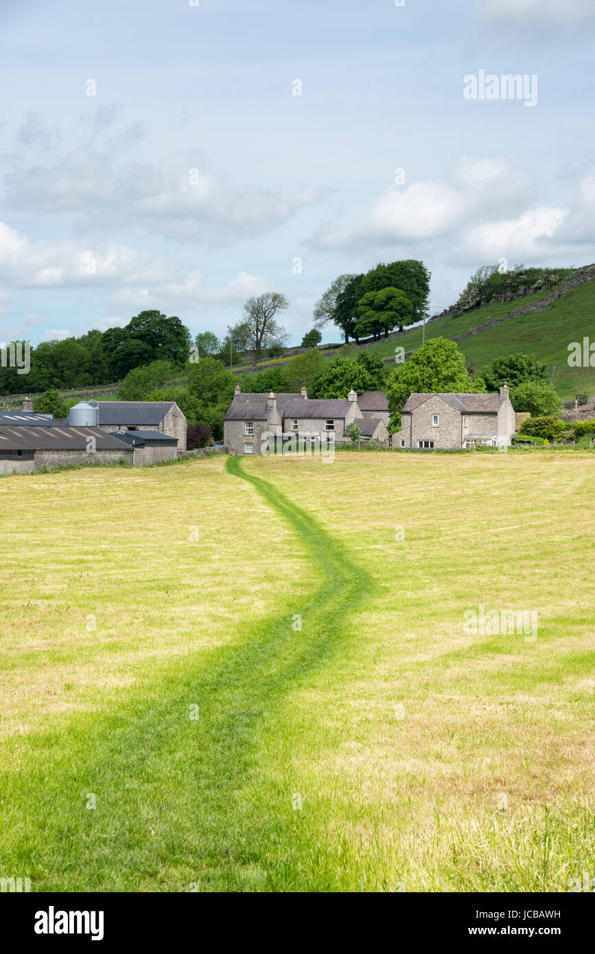 Chemin à travers un champ fauché à Litton village dans le Peak District, Derbyshire, Angleterre. Banque D'Images