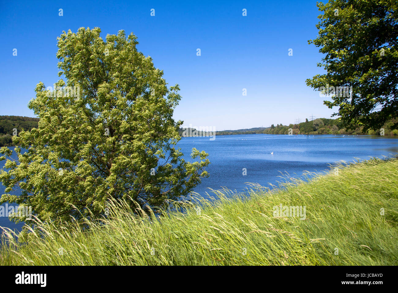 L'Allemagne, en Rhénanie du Nord-Westphalie, région de la Ruhr, Bochum, lac, lac de stockage Kemnade. Banque D'Images