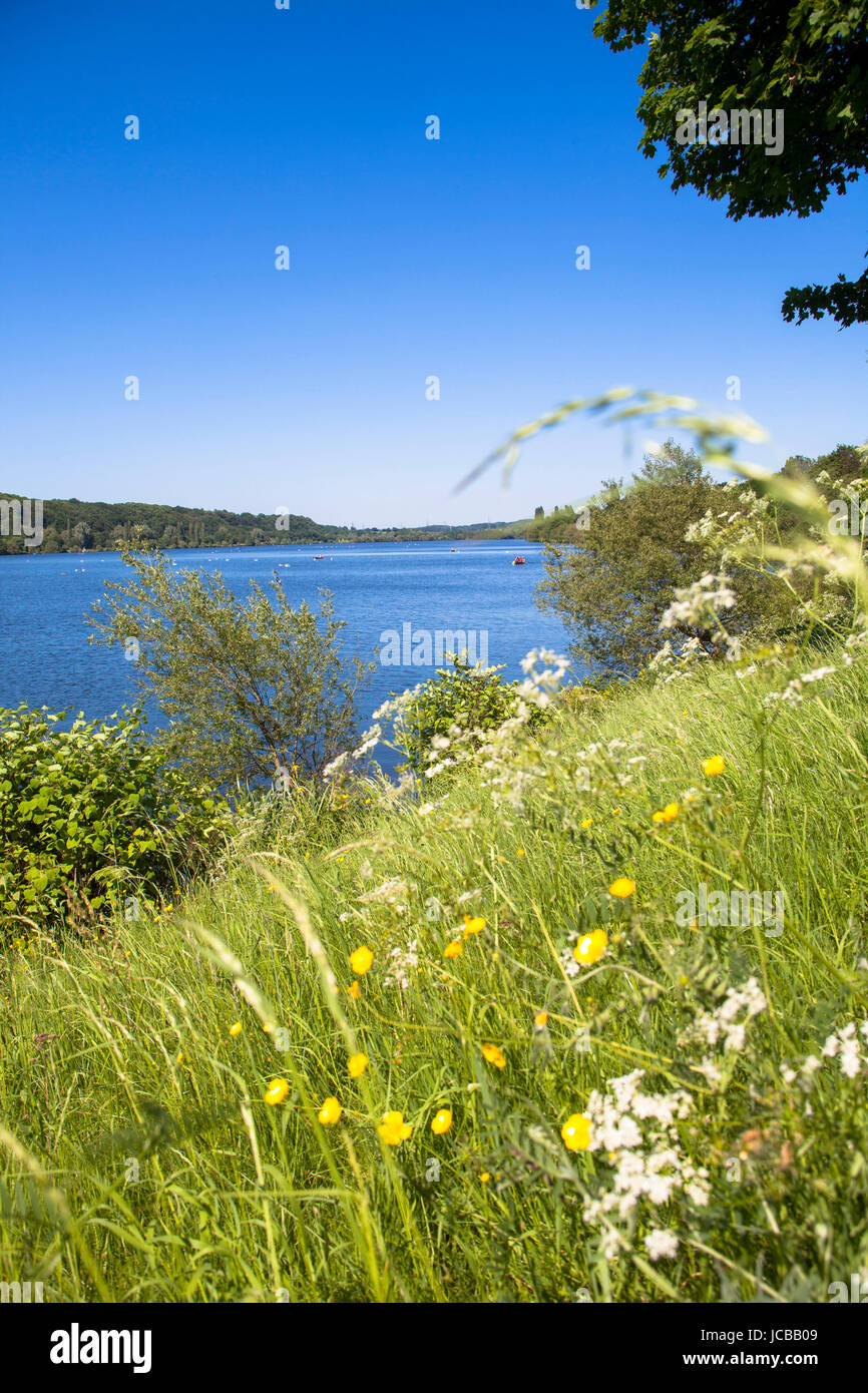 L'Allemagne, en Rhénanie du Nord-Westphalie, région de la Ruhr, Bochum, lac, lac de stockage Kemnade. Banque D'Images