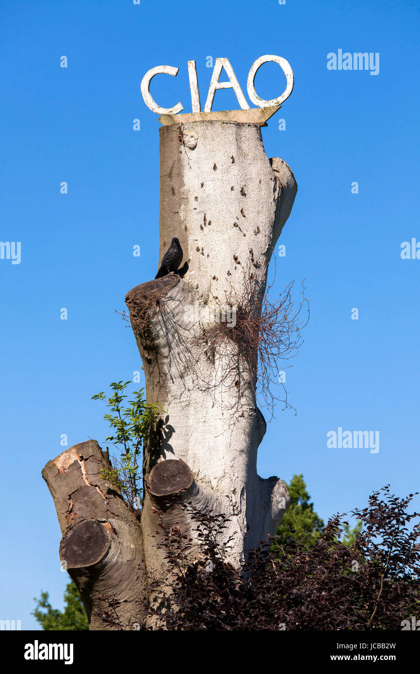 L'Allemagne, la Ruhr, Hattingen, sciées arbre avec le mot Ciao en haut dans le parc de château à douves Haus Kemnade, dans l'arrondissement Blankenstein. Banque D'Images