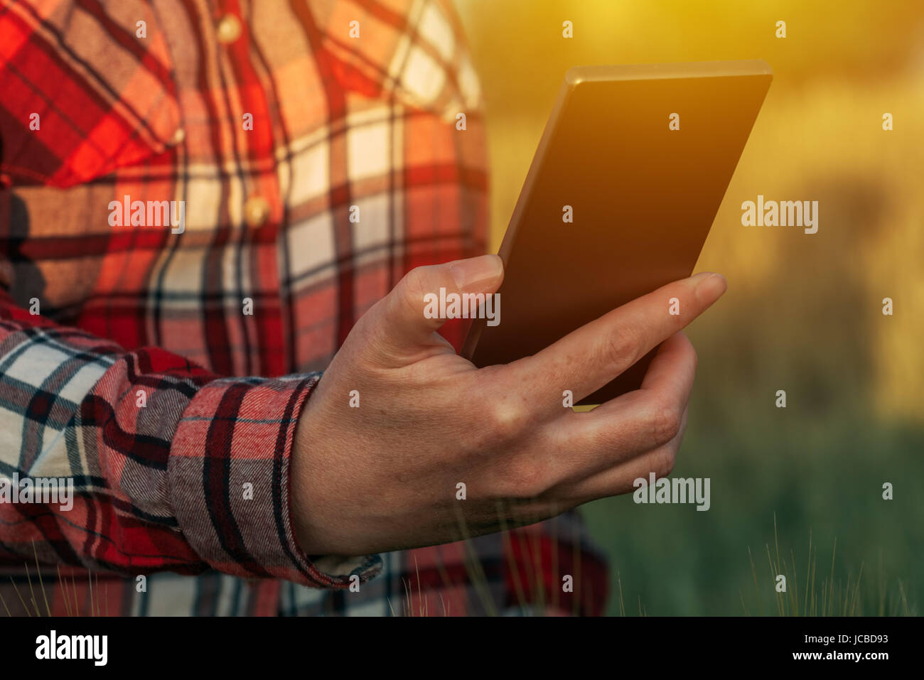 Agronome à l'aide de smart téléphone appareil mobile app pour photographier les cultures en champ cultivé Banque D'Images