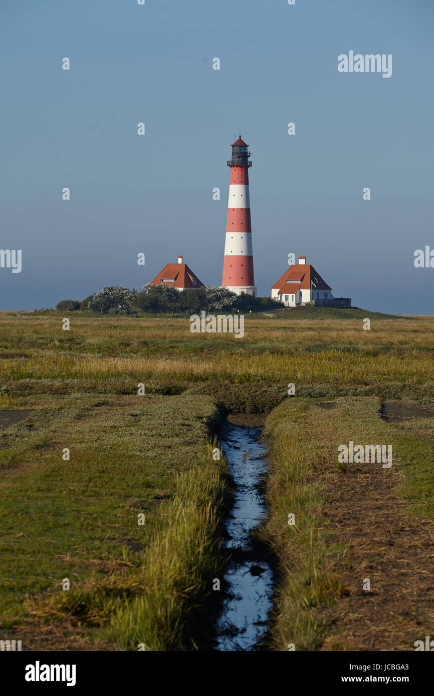 Paysage avec de l'anad prés le light house Westerhever situé à proximité de la côte de la mer du Nord prises sur un matin ensoleillé. Ce paysage est situé près de la côte de la mer du Nord (Frise du Nord, en Allemagne, en Schleswig Holstein) : Banque D'Images