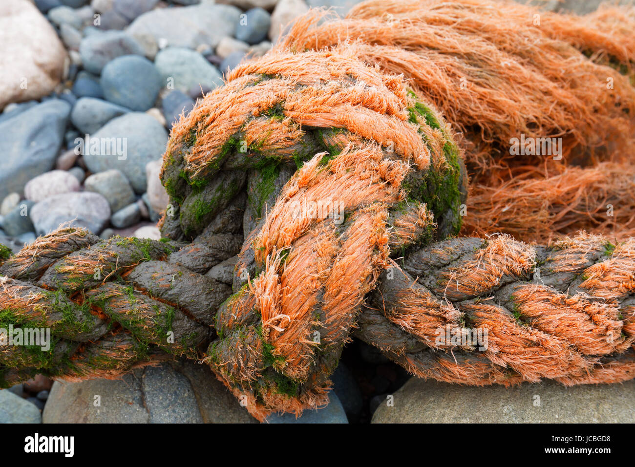 Une pice de corde trouvés sur la plage à Seascale Banque D'Images