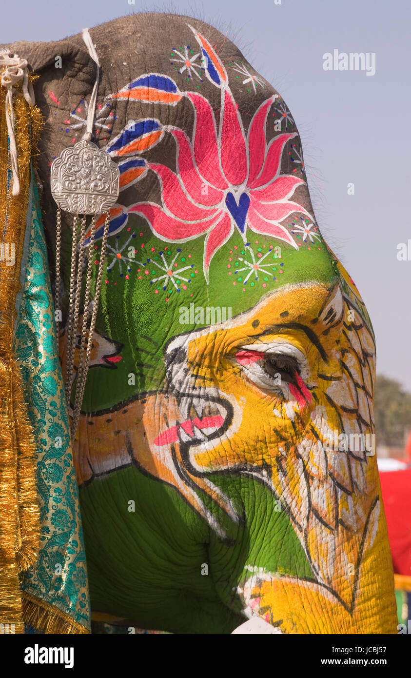 Décoré d'éléphants indiens (Elephas maximus indicus) à l'assemblée annuelle du festival de l'éléphant à Jaipur, Rajasthan, Inde. Banque D'Images