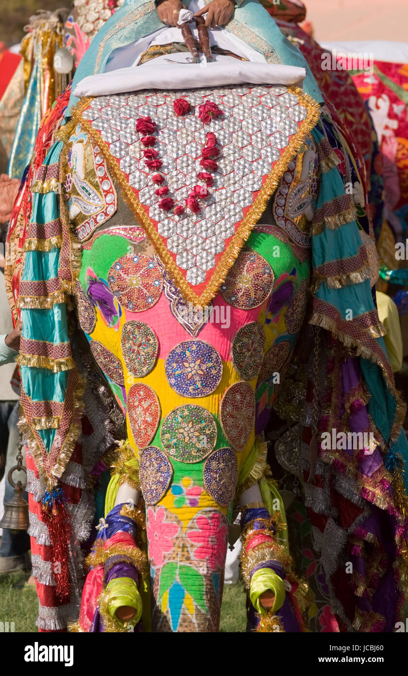Décoré d'éléphants indiens (Elephas maximus indicus) à l'assemblée annuelle du festival de l'éléphant à Jaipur, Rajasthan, Inde. Banque D'Images