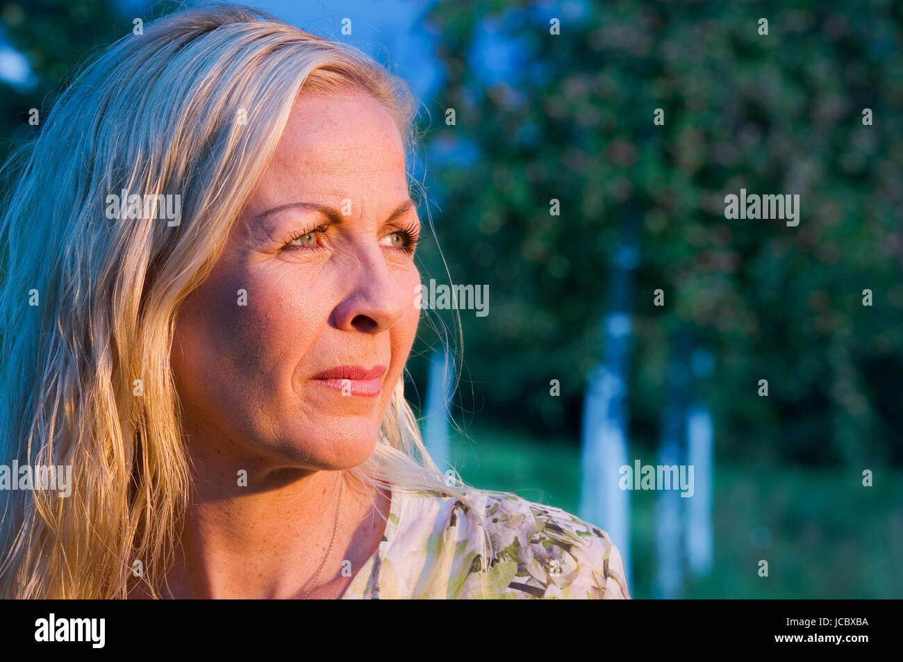 Kopf seitliches-und-Schulter-Porträt blondn Frau und mittleren modifie in einer Parkanlage dans den Sonnenuntergang blickend Banque D'Images