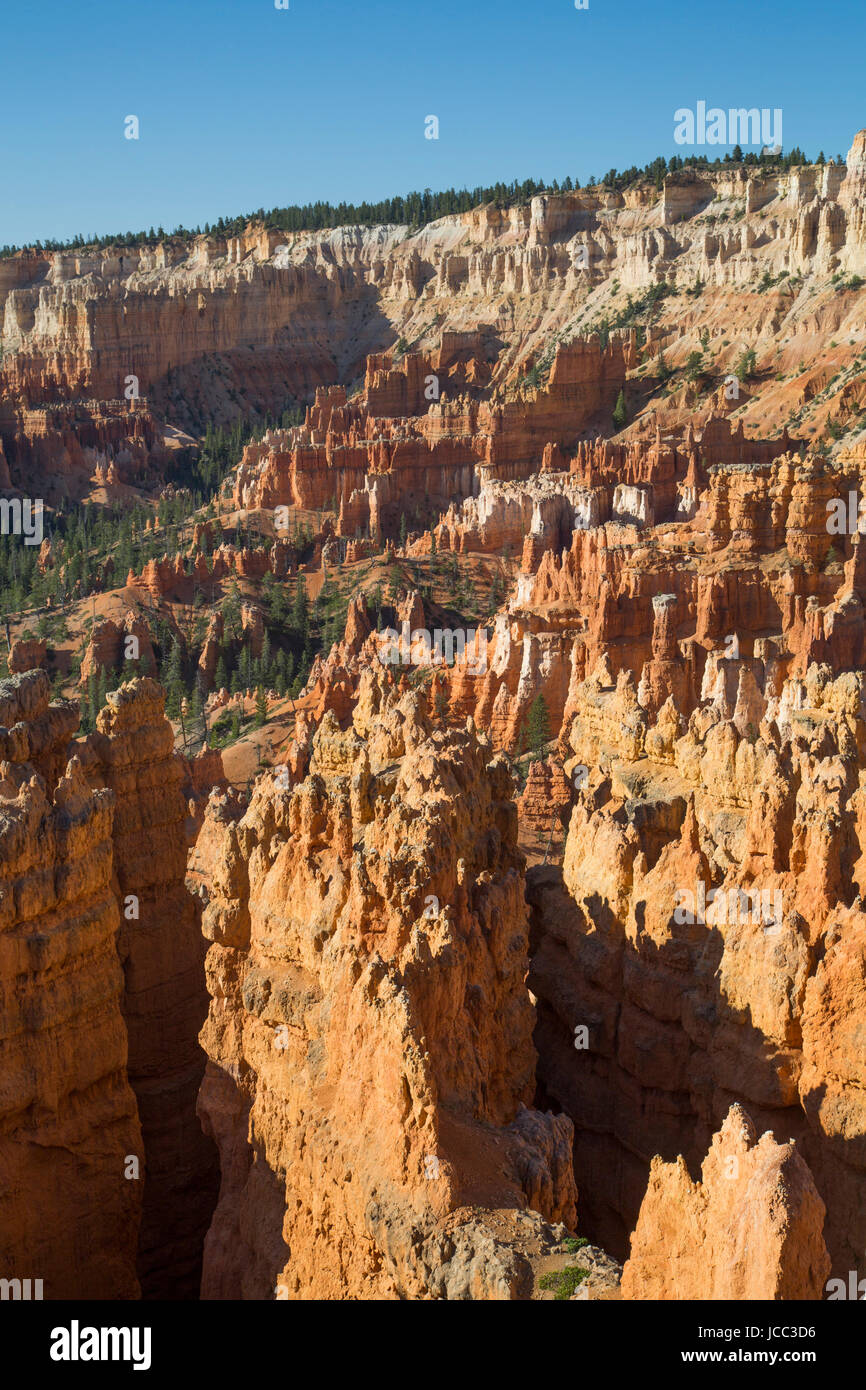 Vue depuis le sentier de Rim, Bryce Canyon National Park, Utah, USA Banque D'Images