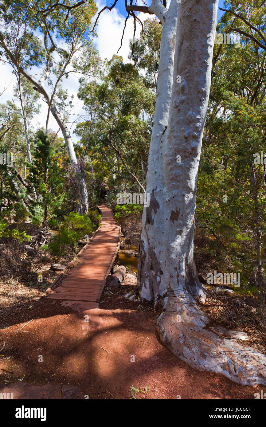 Photo prise sur un quatre jours de vacances en octobre de 2016, tout en restant à Willow Springs Station, Jackaroos Cottage, Flinders Ranges, Australie du Sud Banque D'Images