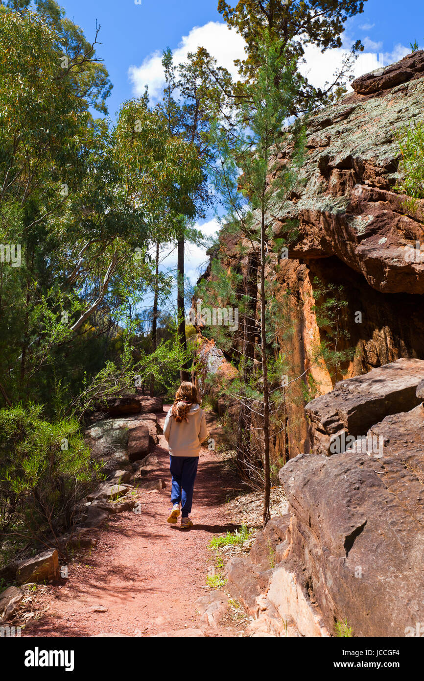 Photo prise sur un quatre jours de vacances en octobre de 2016, tout en restant à Willow Springs Station, Jackaroos Cottage, Flinders Ranges, Australie du Sud Banque D'Images