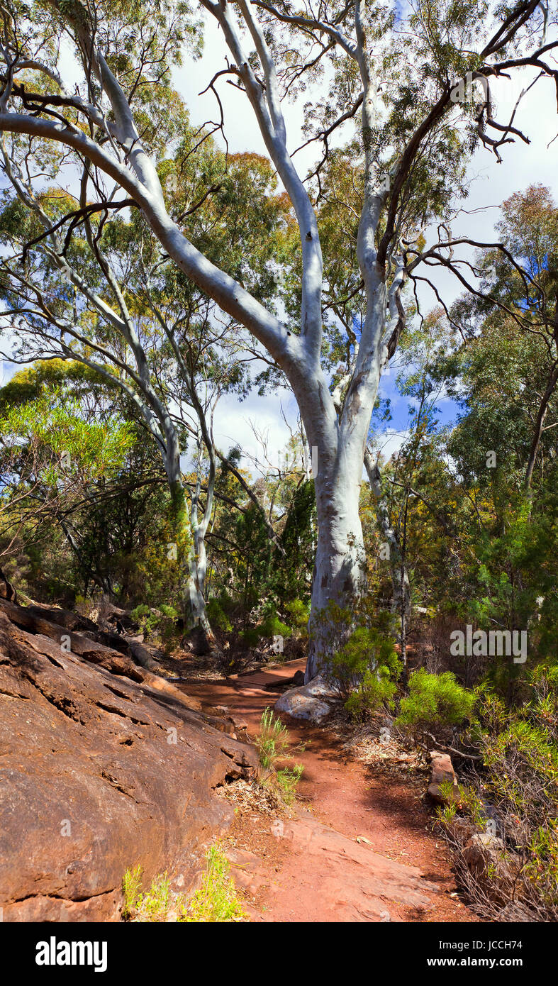 Photo prise sur un quatre jours de vacances en octobre de 2016, tout en restant à Willow Springs Station, Jackaroos Cottage, Flinders Ranges, Australie du Sud Banque D'Images