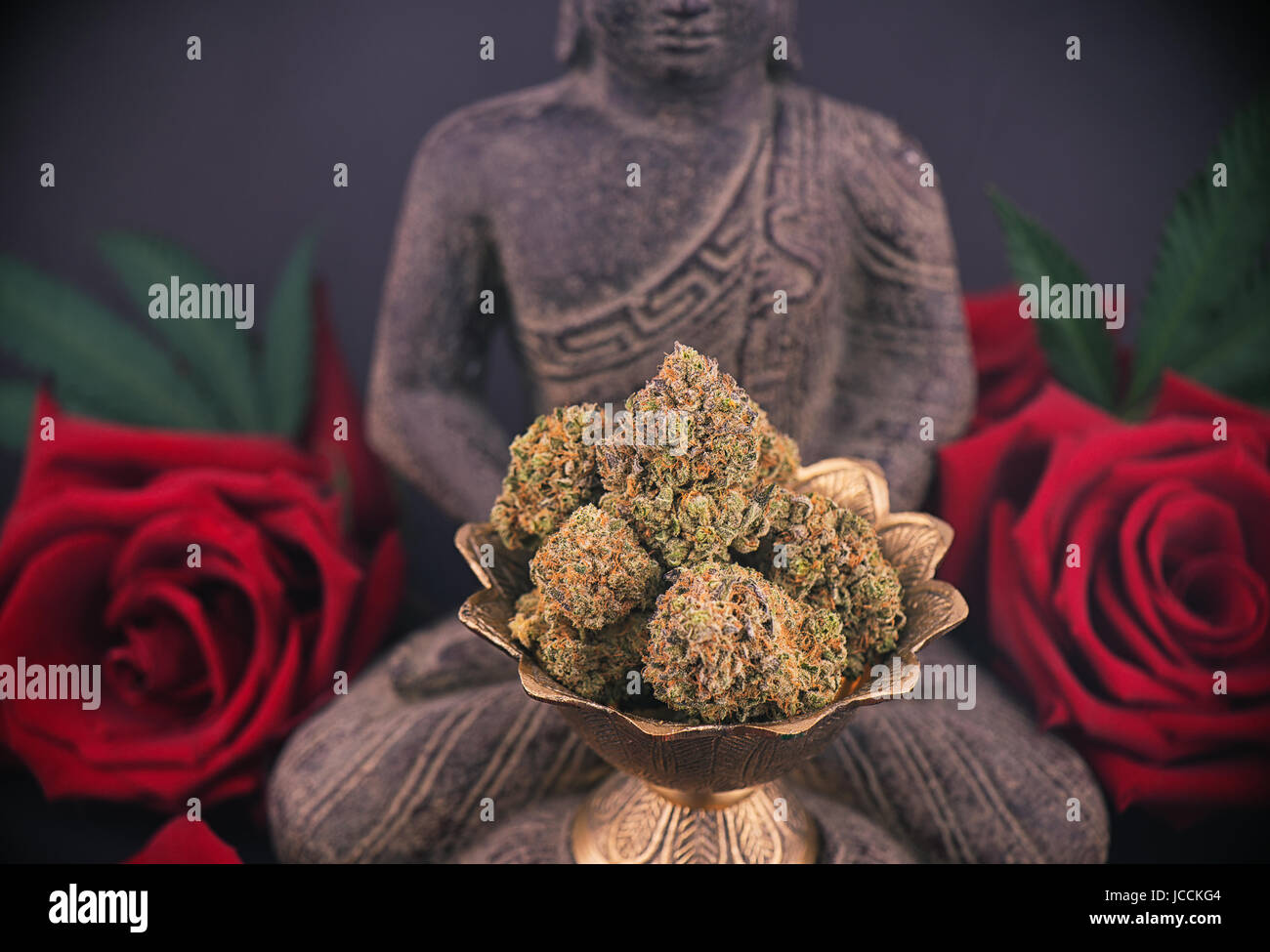 Fond Fume Zen Avec Bouddha Statue Roses Rouges Et Cocottes Medical Marijuana Et Concept De Meditation Photo Stock Alamy Fond Fume Zen Avec Bouddha Statue Roses Rouges Et Cocottes Medical Marijuana Et Concept De Meditation Photo Stock Alamy