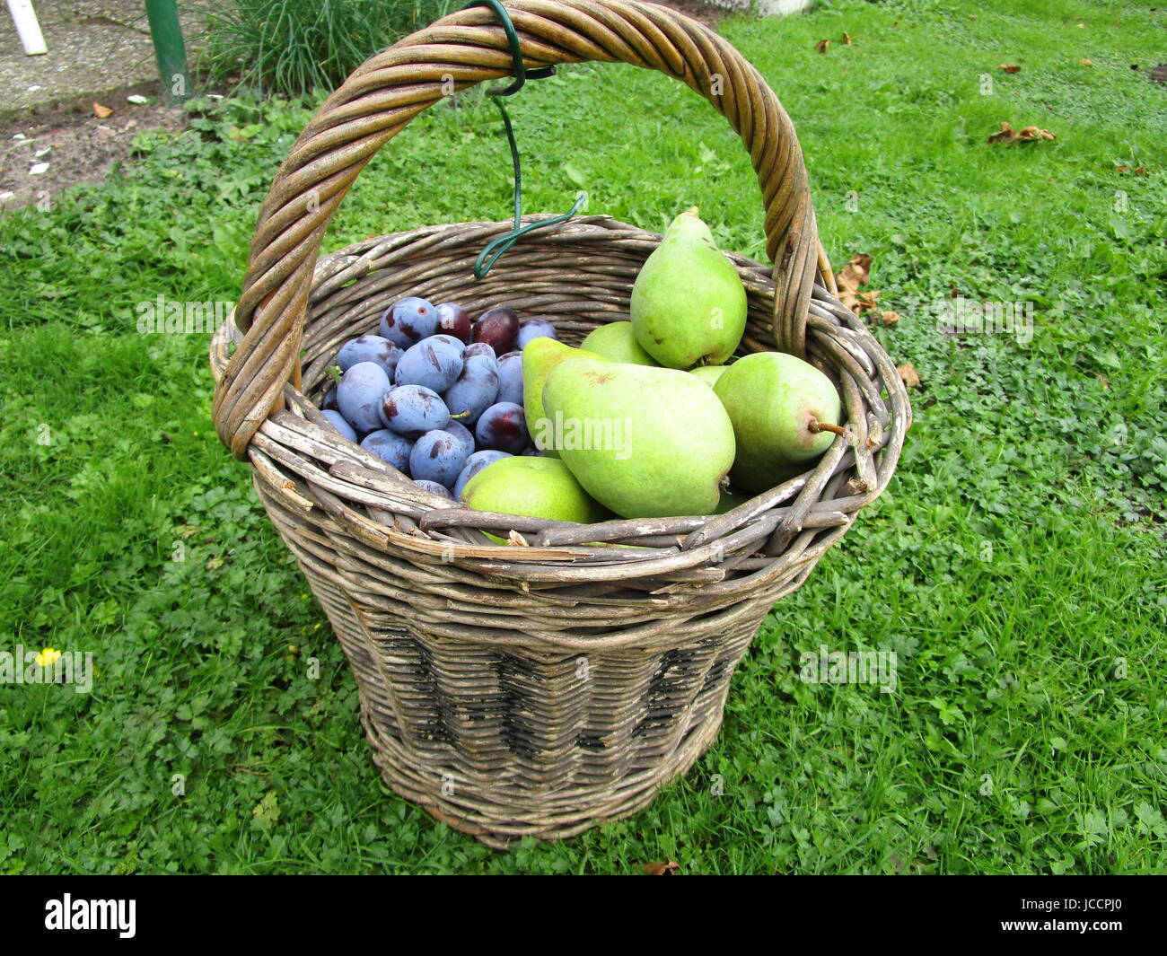 panier de fruits Banque D'Images