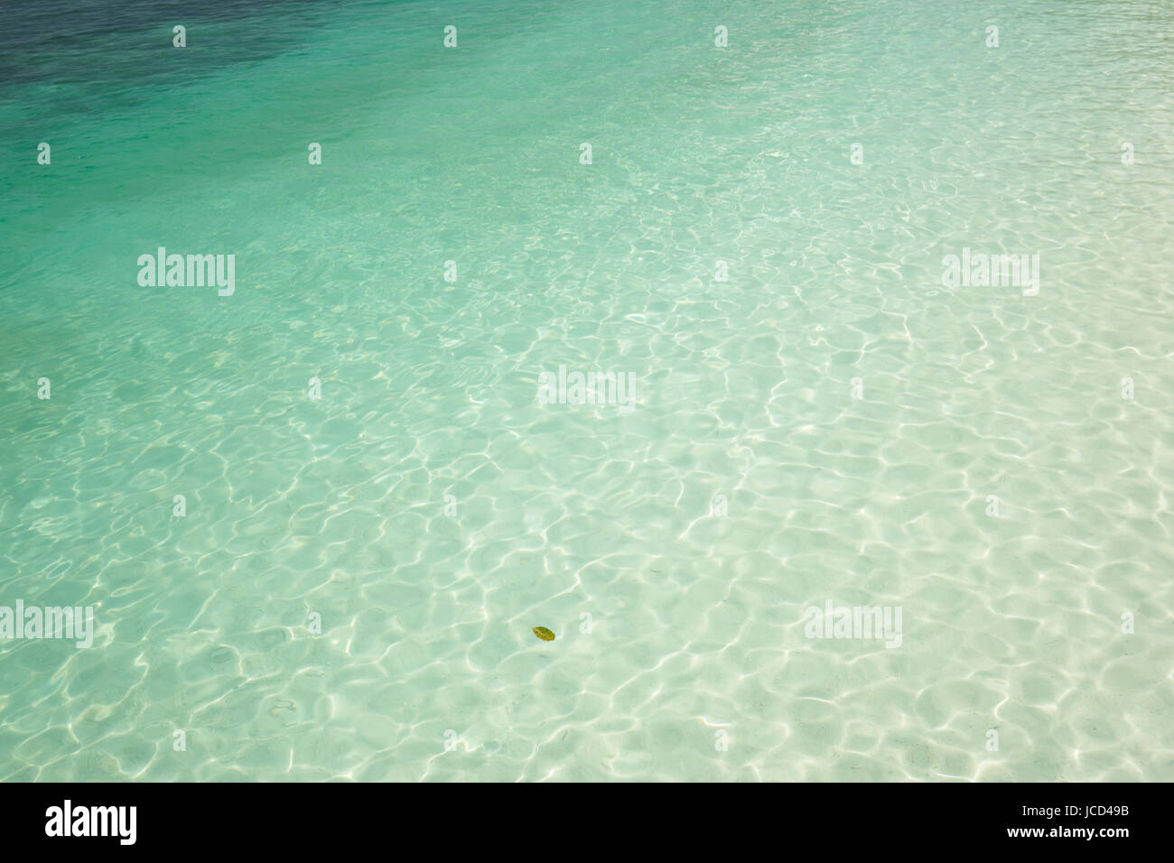 La mer turquoise et cristalline de l'eau de mer tropical . Banque D'Images