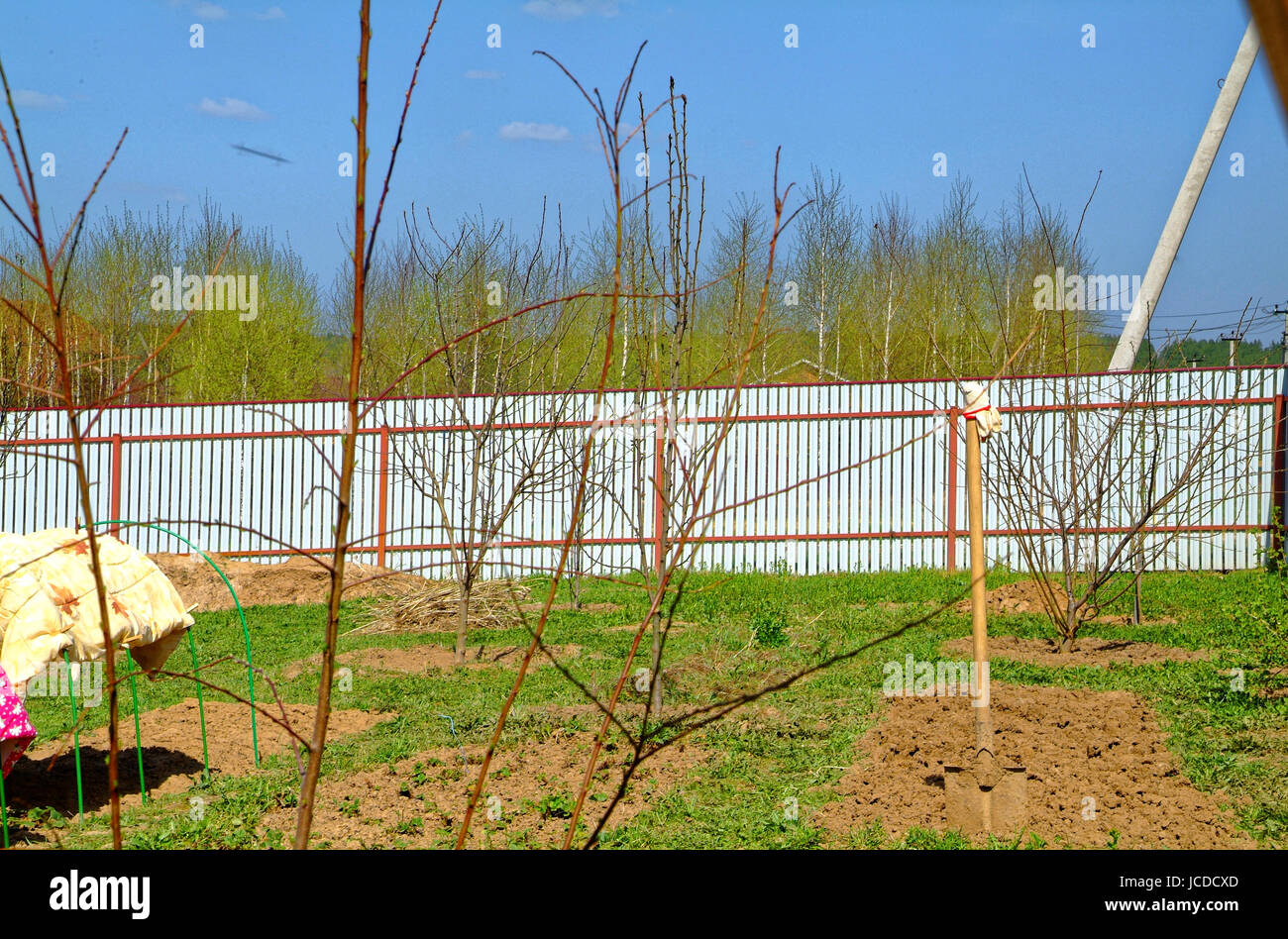 Jardin au printemps en Russie Banque D'Images
