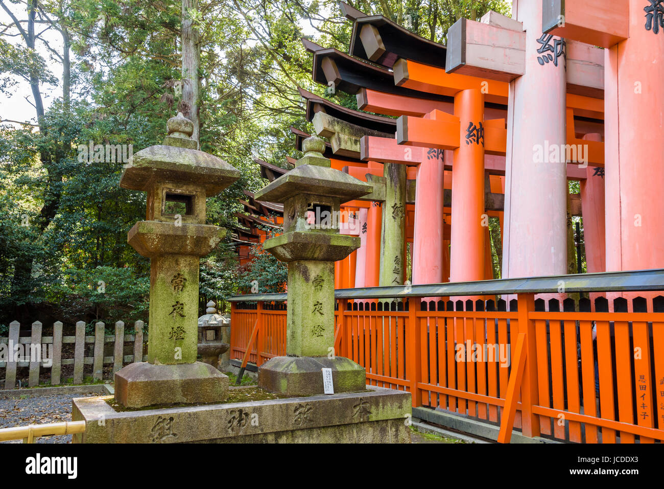 Fushimi Inari Taisha, Torii gates et de lanternes en pierre. Banque D'Images