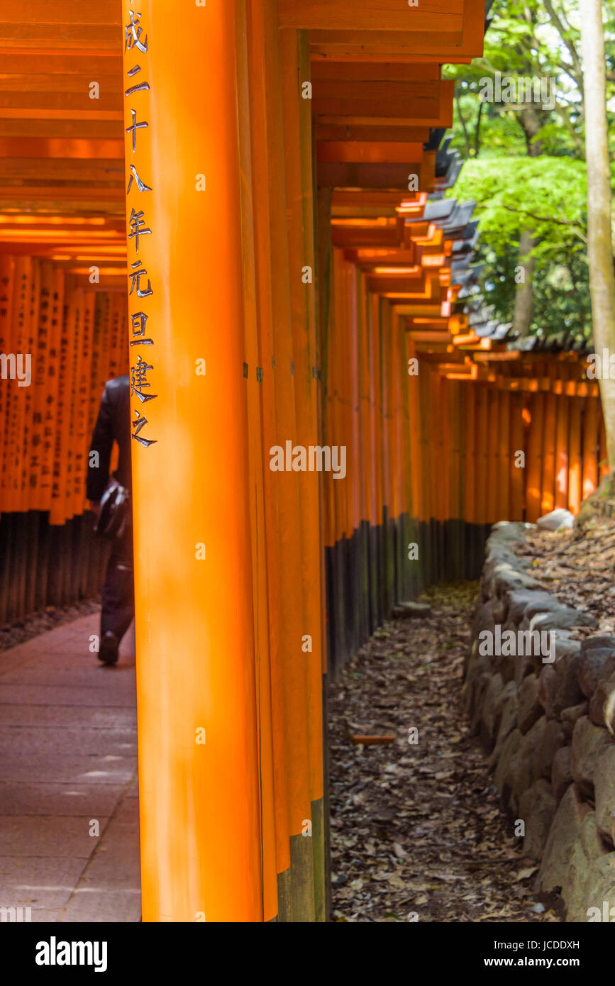Fushimi Inari Taisha, Torii gates Banque D'Images