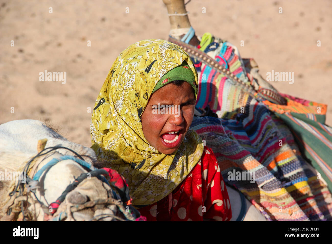 La jeune fille-chamelier bédouin du village de désert du Sahara avec son chameau, criant d'inviter les touristes, l'Egypte Hurghada Banque D'Images