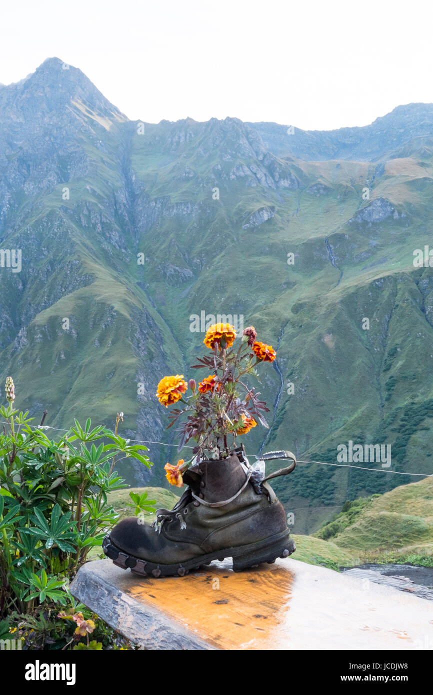 LA PEULE, SUISSE - Le 30 août : Walking boot mis en pot de fleur La refuge, Peule avec montagnes en arrière-plan. Le refuge est une étape tour du Mont Blanc. 30 août 2014 dans la peule. Banque D'Images