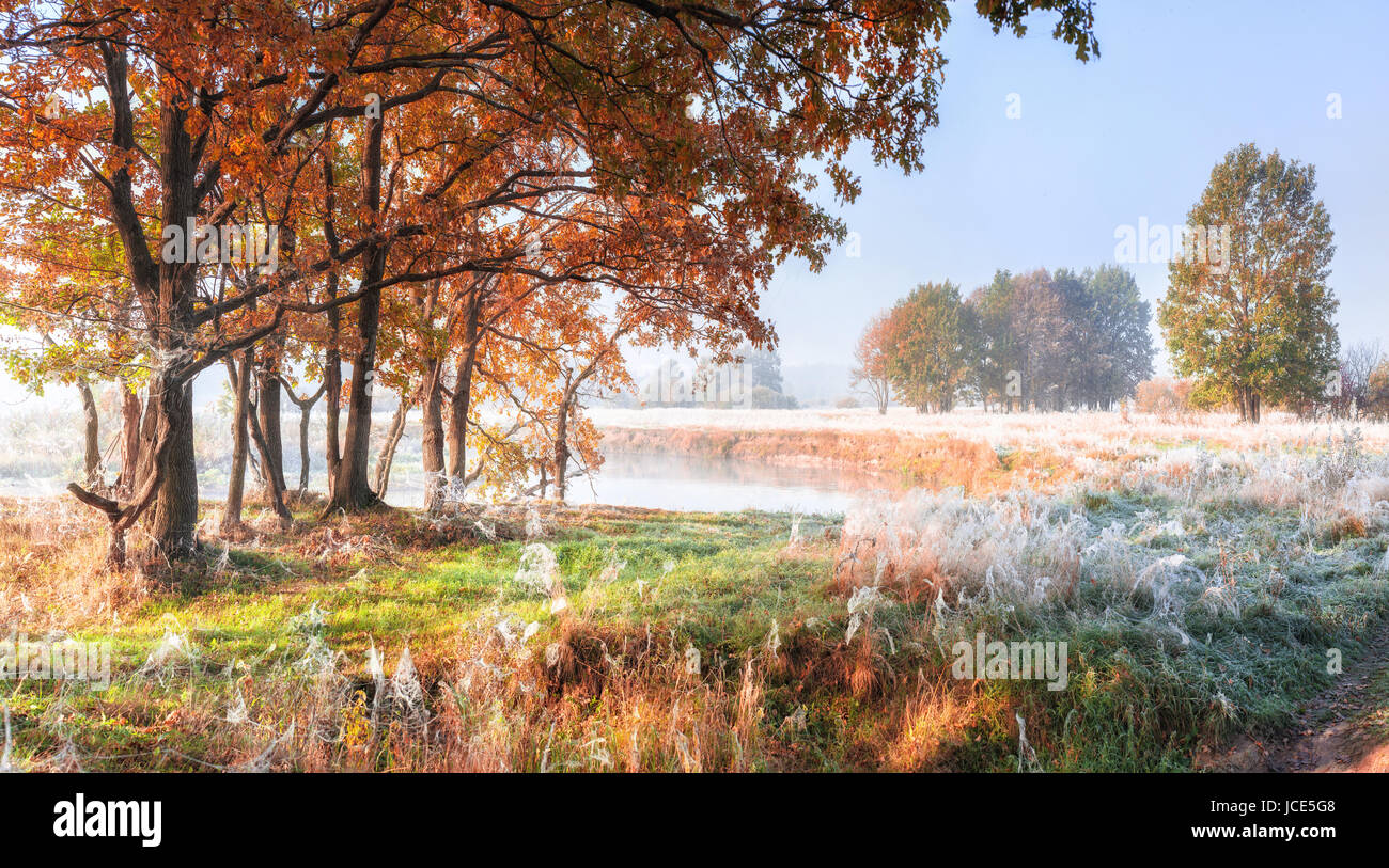 Nature d'automne. Le feuillage de couleur couverts par le givre blanc. Automne nature lumineuse scène. Octobre colorés arrière-plan. Banque D'Images