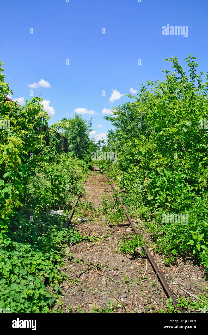 Ancienne fer dans les mauvaises herbes qui sont parfois des trains de roulement. Banque D'Images