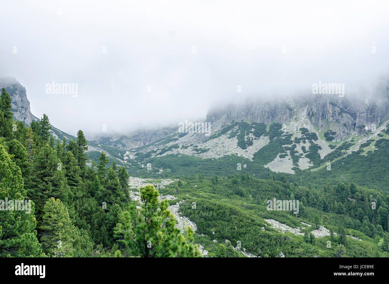 Tatras. Paysage de montagne en un jour brumeux. Banque D'Images