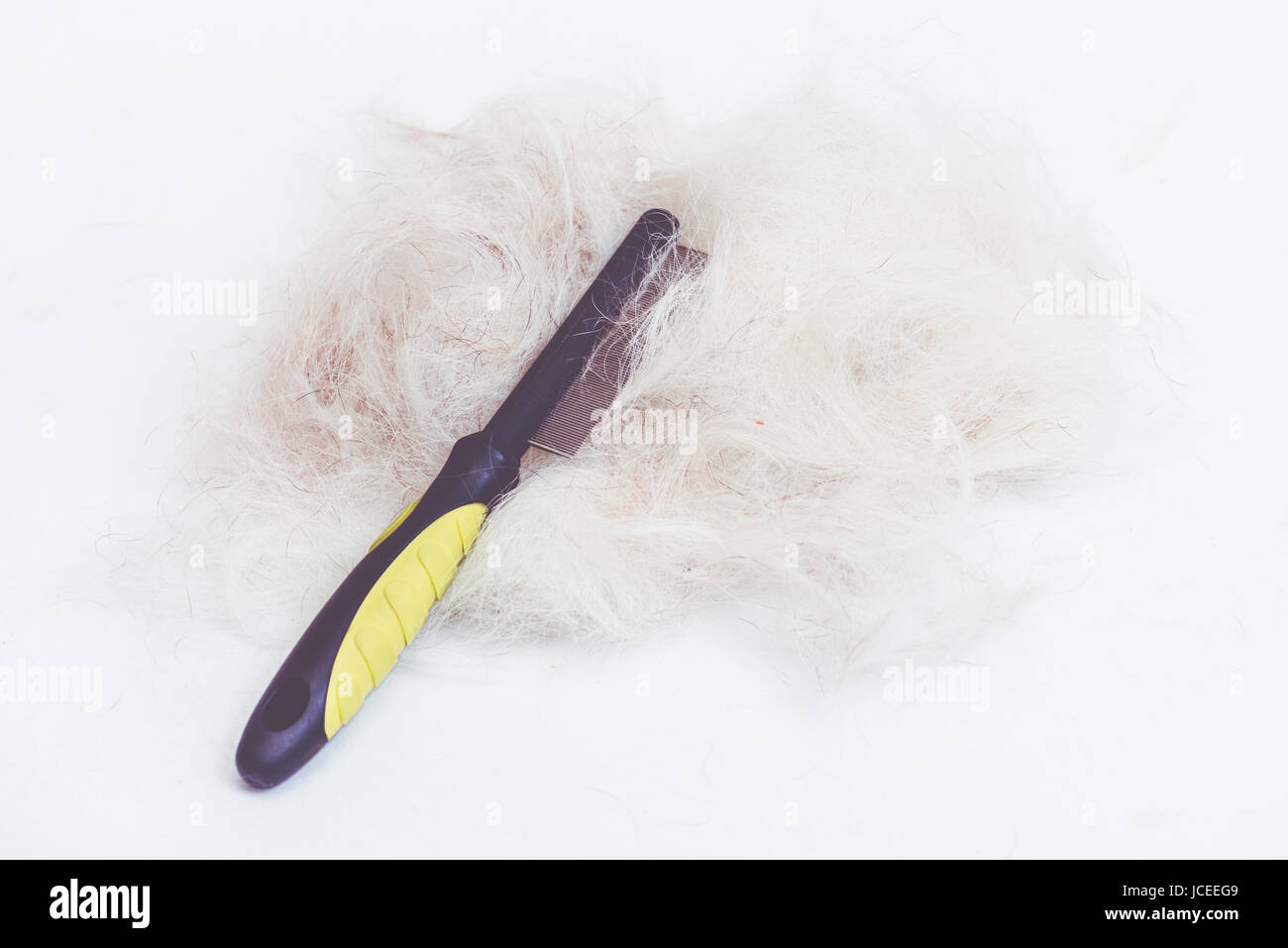 Accessoire de toilettage professionnel : Soins des cheveux Peigne pour chien Banque D'Images