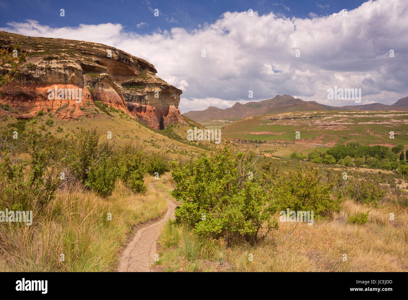 Un chemin à travers le Golden Gate Highlands National Park en Afrique du Sud. Banque D'Images