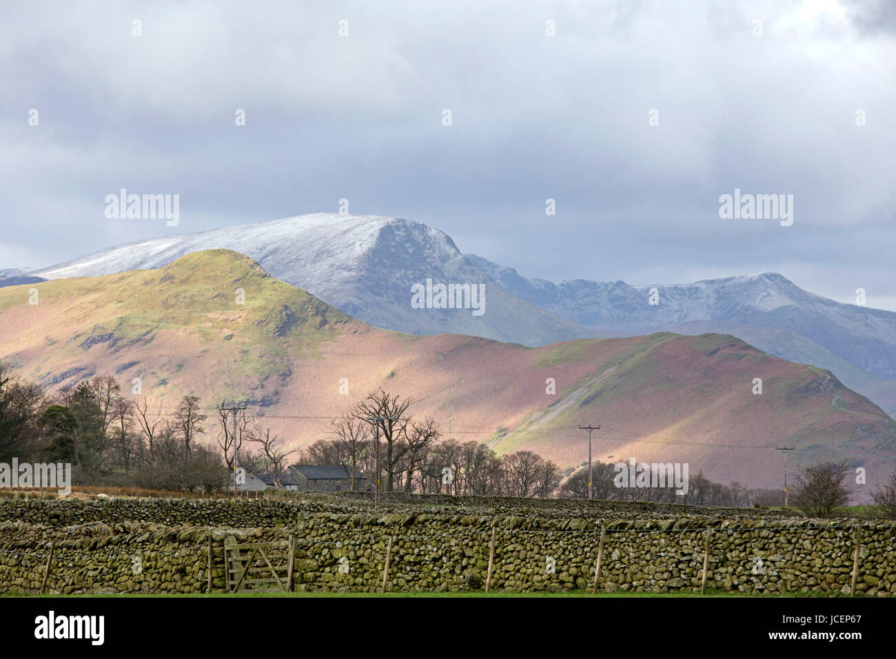 Une sonnerie Cat les Derwent fells, Cumbria, England, UK Banque D'Images