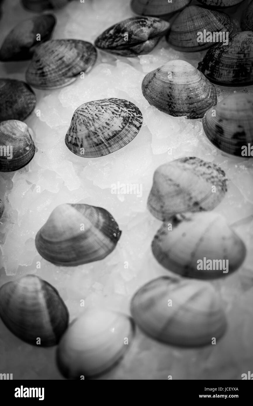 Pile de palourdes de fruits de mer frais sur la glace près de l'arrière-plan. L'alimentation saine. Banque D'Images