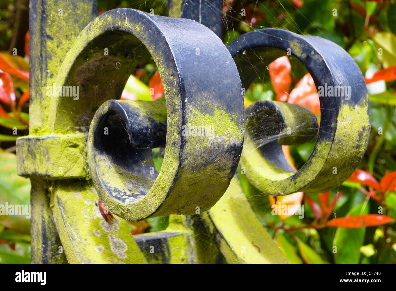 Dorchester, Royaume-Uni. 15 Juin, 2017. La ferronnerie forgé dans la Holy Trinity churchyard, lors d'une journée ensoleillée à Dorchester Crédit : Stuart fretwell/Alamy Live News Banque D'Images