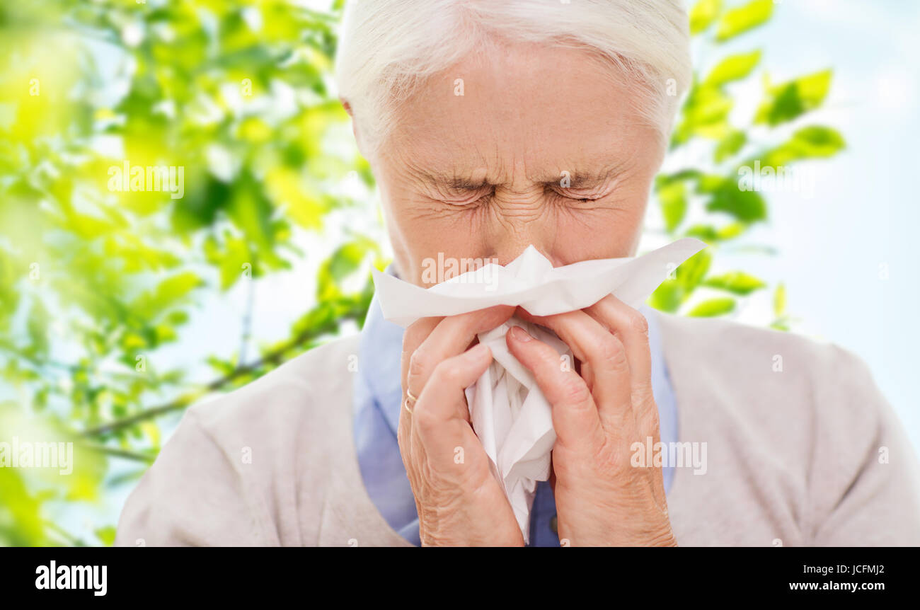 Sick senior woman blowing nose pour serviettes en papier Banque D'Images