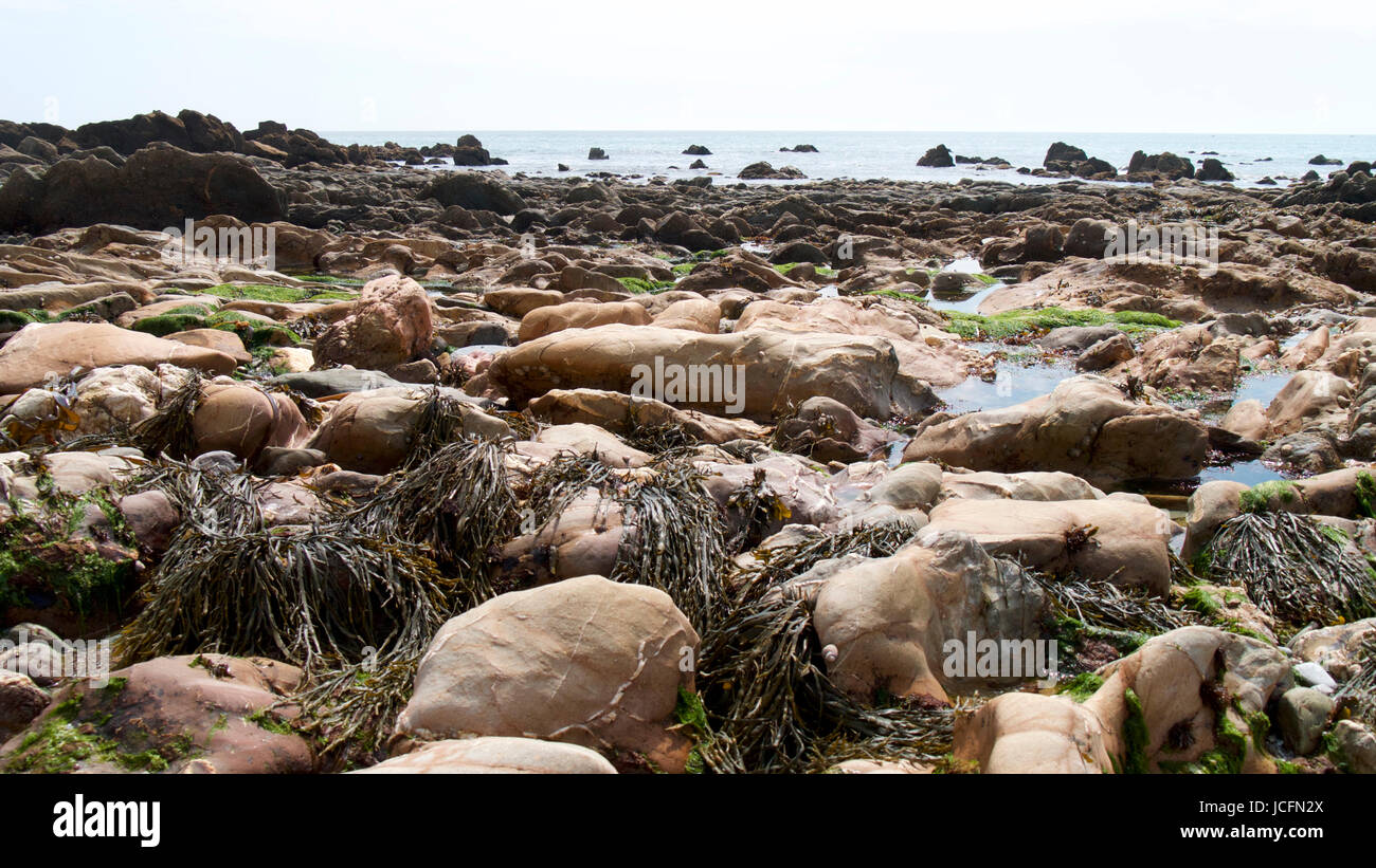 Du côté de la plage de rochers, de récifs et de rock pools Banque D'Images