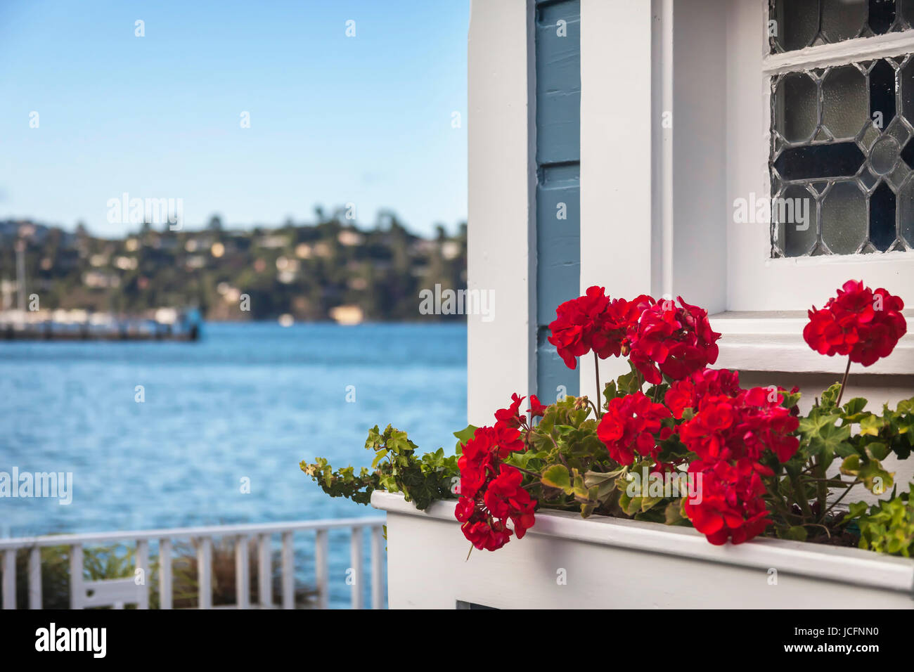 Un arrangement de fleurs sous un Sausalito, Californie accueil fenêtre donnant sur la baie de San Francisco. Dans la distance est de Tiburon, en Californie. Banque D'Images