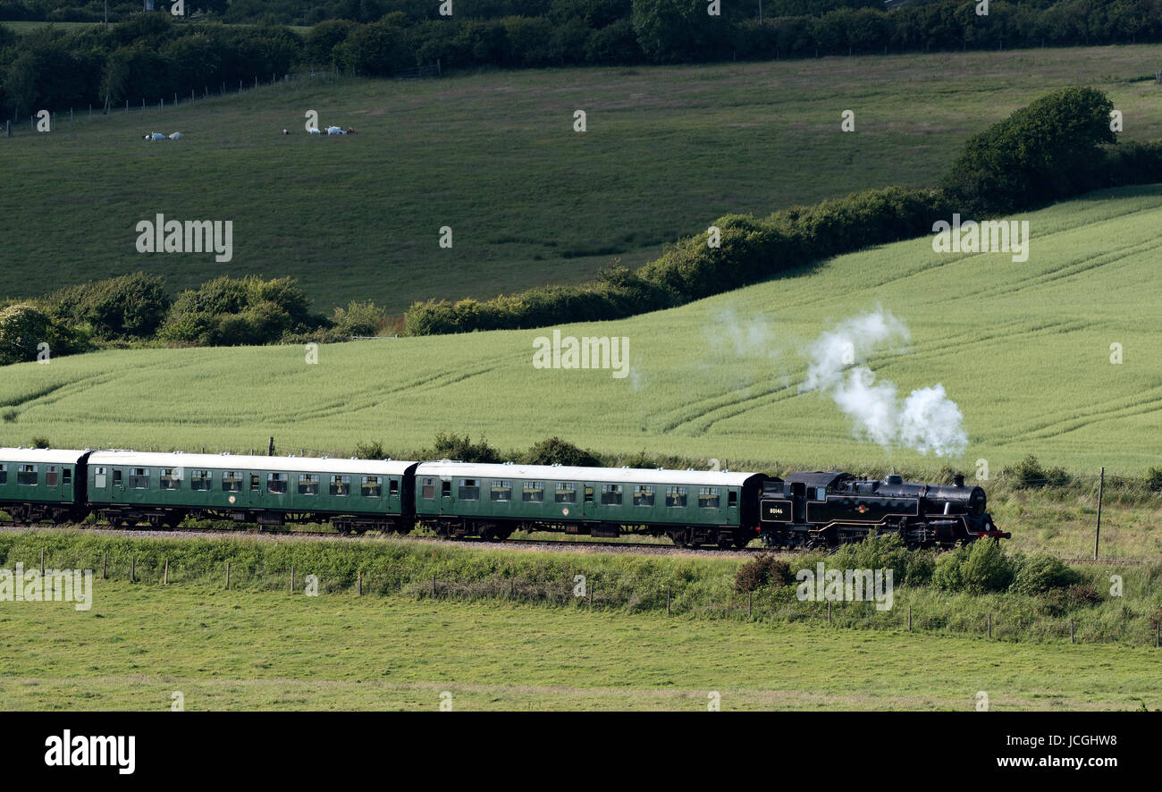 Machine à vapeur tirant des voitures à travers la campagne du Dorset à In Harmans Cross sur la ligne de chemin de fer Swanage. Juin 2017 Banque D'Images