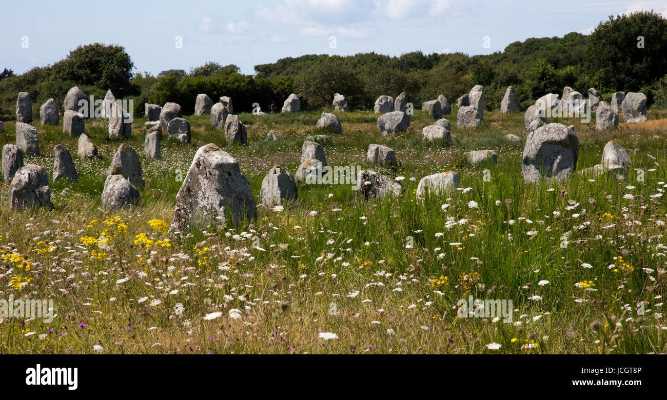 Les cercles de pierre, des voies et de l'inhumation des castrats au site néolithique à Carnac, France Banque D'Images