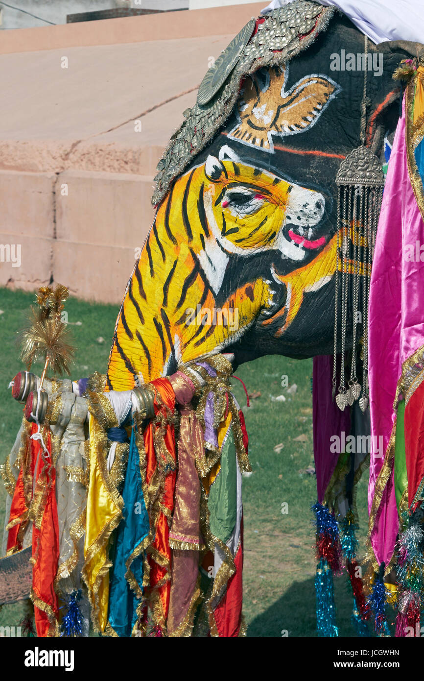 Éléphant décoré à l'assemblée annuelle du festival de l'éléphant à Jaipur, Rajasthan, Inde Banque D'Images