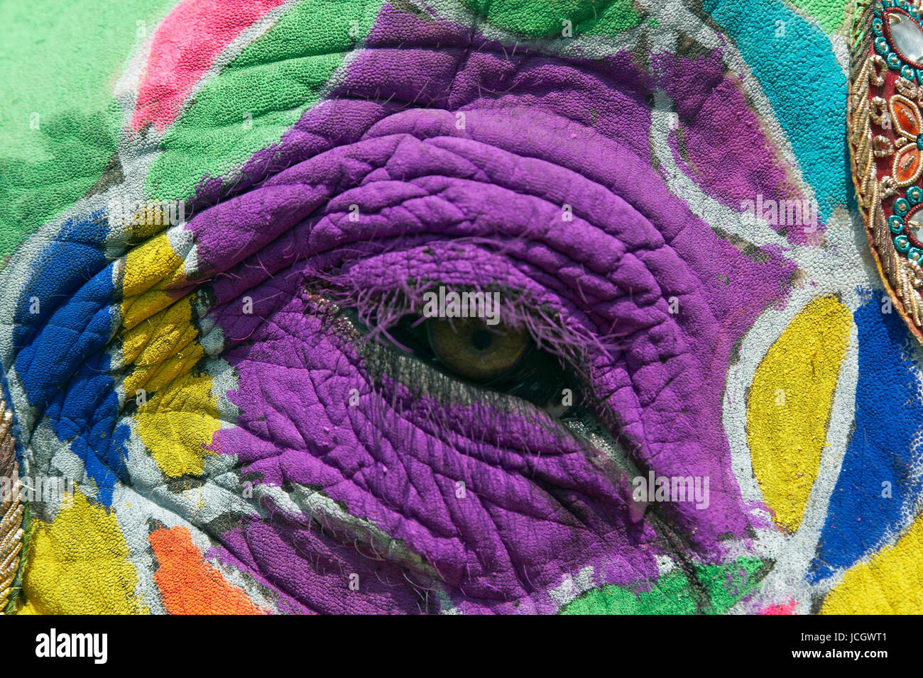 De près de l'oeil d'un éléphant décoré à l'assemblée annuelle du festival de l'éléphant à Jaipur, Rajasthan, Inde Banque D'Images