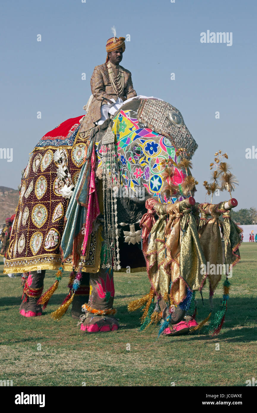 Décoré d'éléphants indiens (Elephas maximus indicus) et mahout défilant à l'assemblée annuelle du festival de l'éléphant à Jaipur, Rajasthan, Inde. Banque D'Images