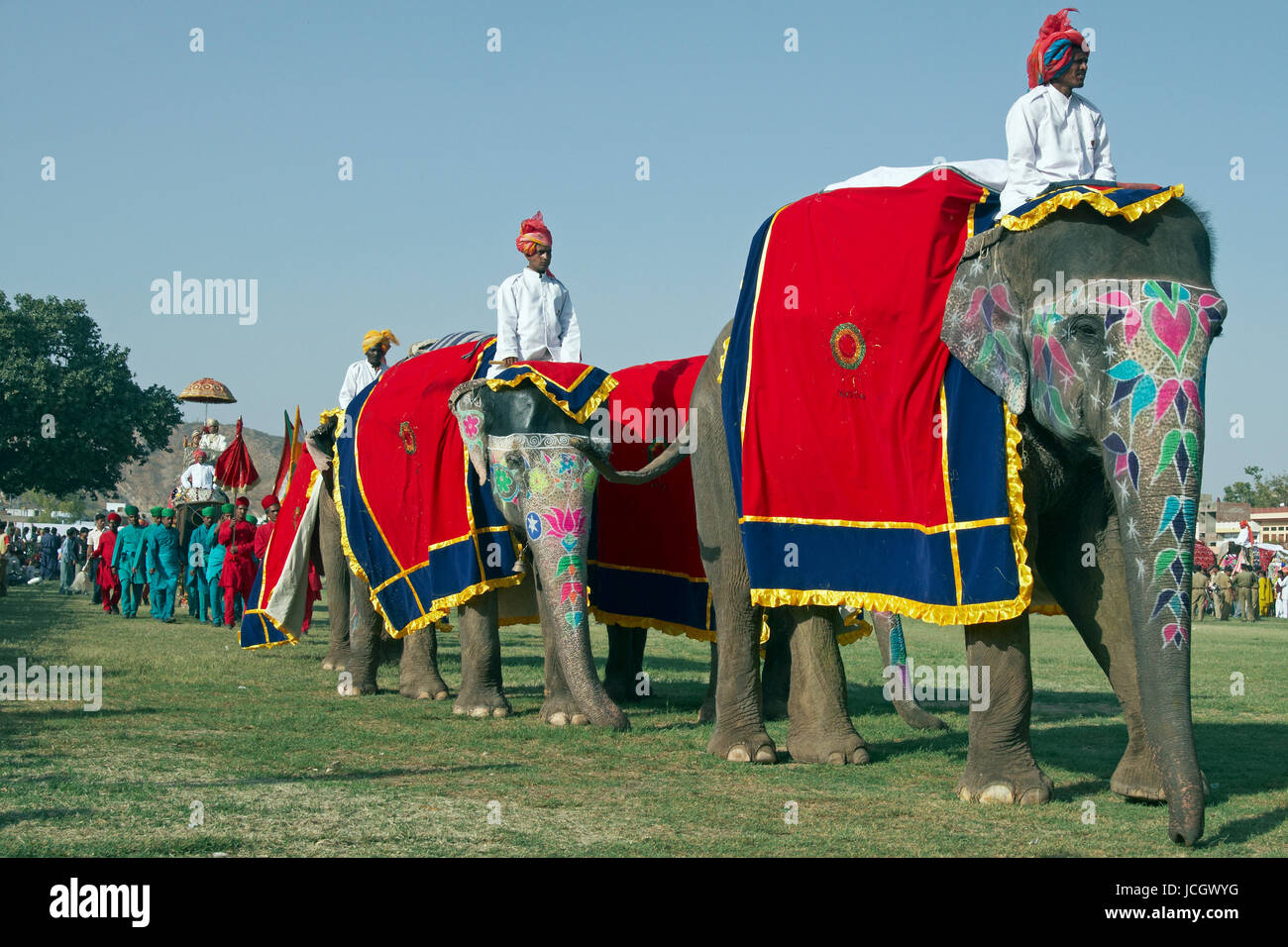 Décoré d'éléphants indiens (Elephas maximus indicus) et mahout défilant à l'assemblée annuelle du festival de l'éléphant à Jaipur, Rajasthan, Inde. Banque D'Images