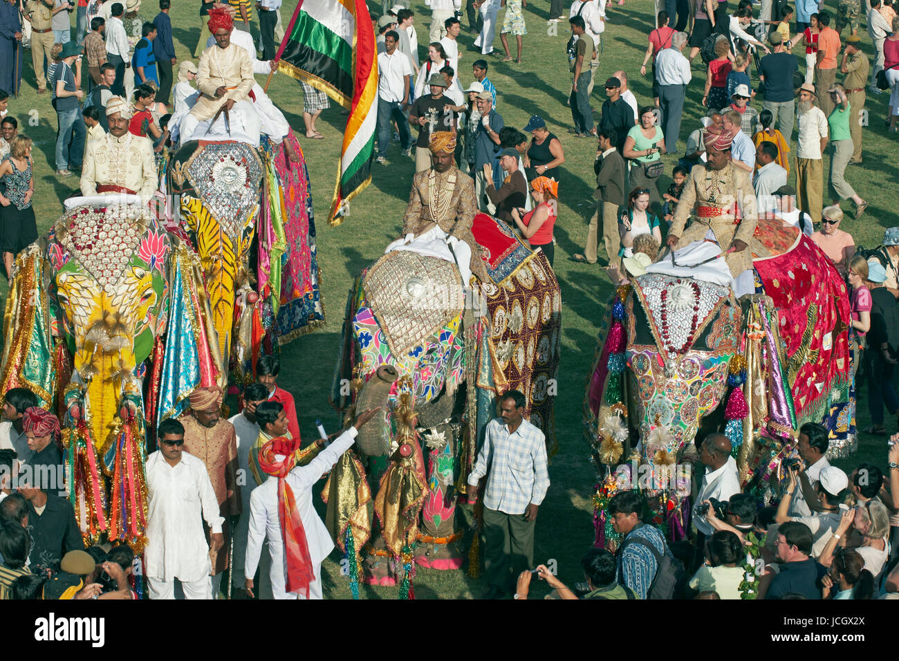 Décoré d'éléphants indiens (Elephas maximus indicus) parmi une foule de gens à l'assemblée annuelle de l'elephant festival à Jaipur, Rajasthan, Inde. Banque D'Images