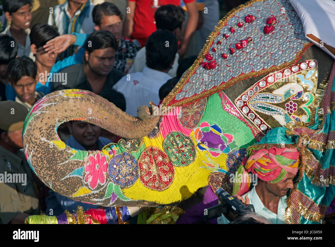 Décoré d'éléphants indiens (Elephas maximus indicus) parmi une foule de gens à l'assemblée annuelle de l'elephant festival à Jaipur, Rajasthan, Inde. Banque D'Images