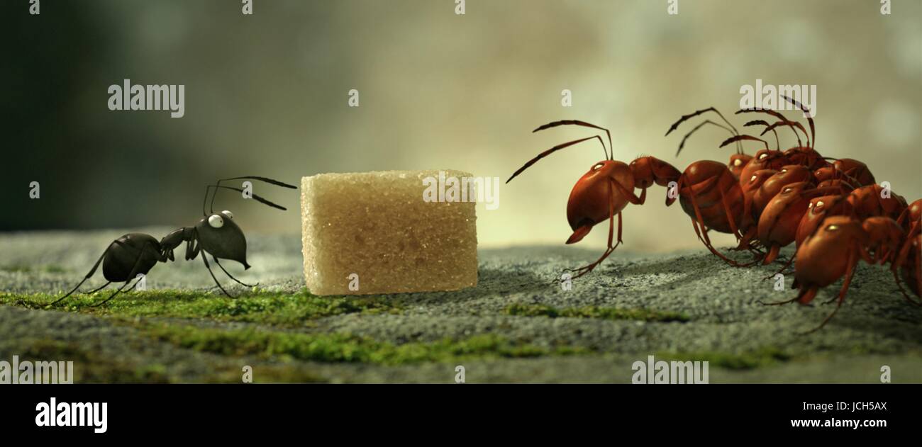 Fourmi noire fourmis rouges minuscule Banque de photographies et d’images à haute résolution Alamy
