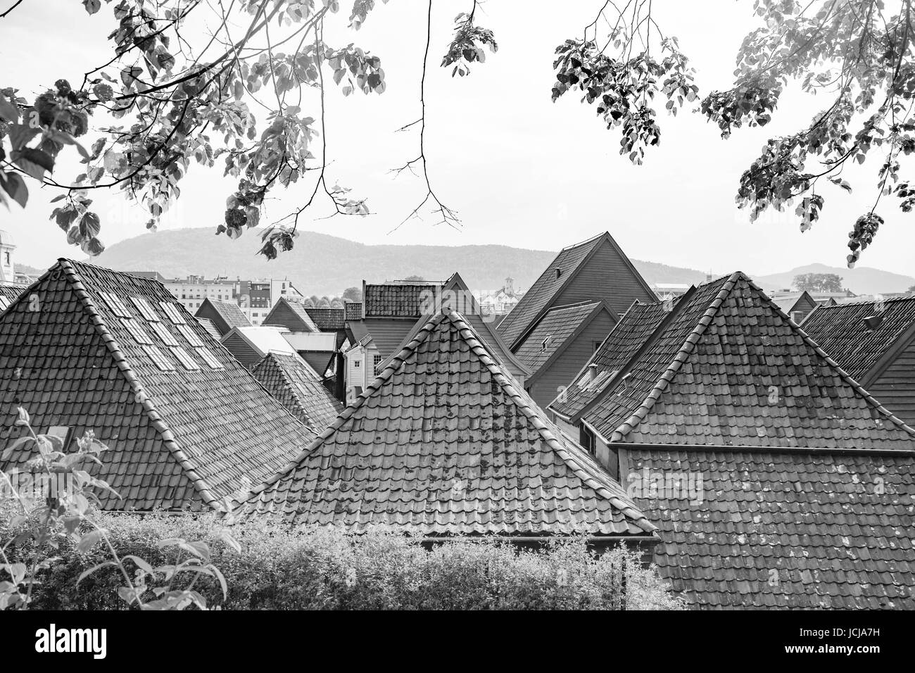 Toits en Norvège Banque D'Images