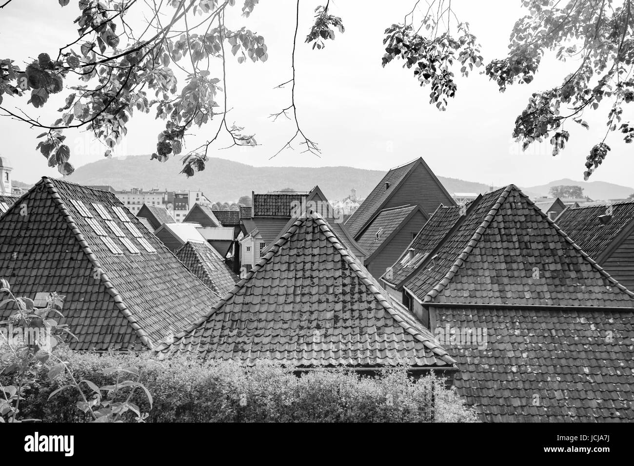 Toits en Norvège Banque D'Images