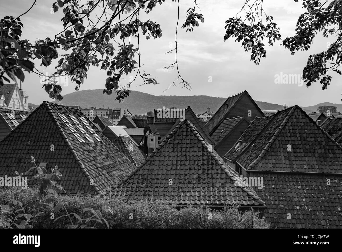 Toits en Norvège Banque D'Images