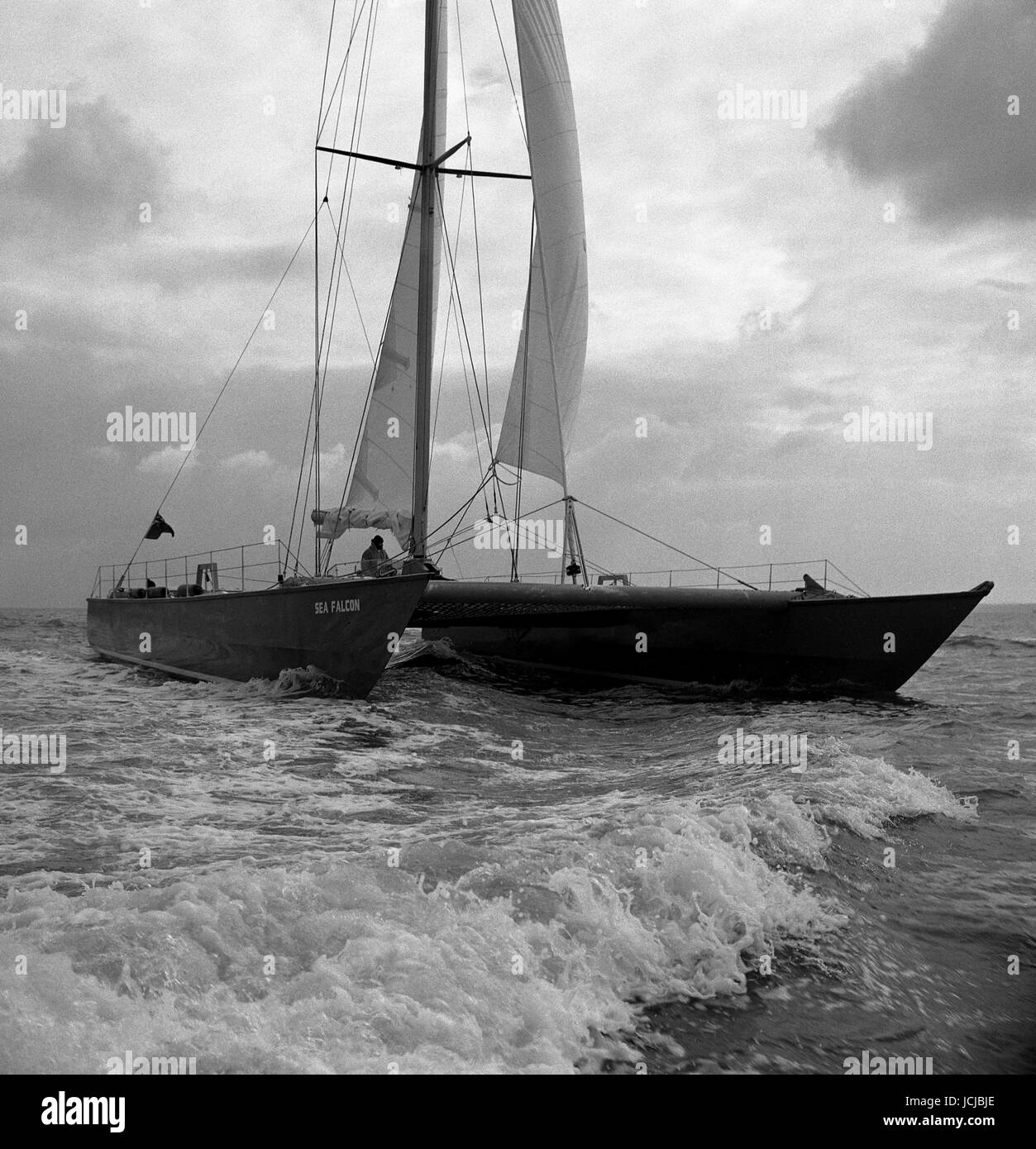 AJAXNETPHOTO. 20ème février,1981. SOLENT, en Angleterre. - ROBIN KNOX JOHNSTON AU VOLANT DE SON NOUVEAU CATAMARAN FALCON MER LAISSANT LE SOLENT POUR TROON EN ECOSSE. photo:JONATHAN EASTLAND/AJAX. REF:812002 10 Banque D'Images