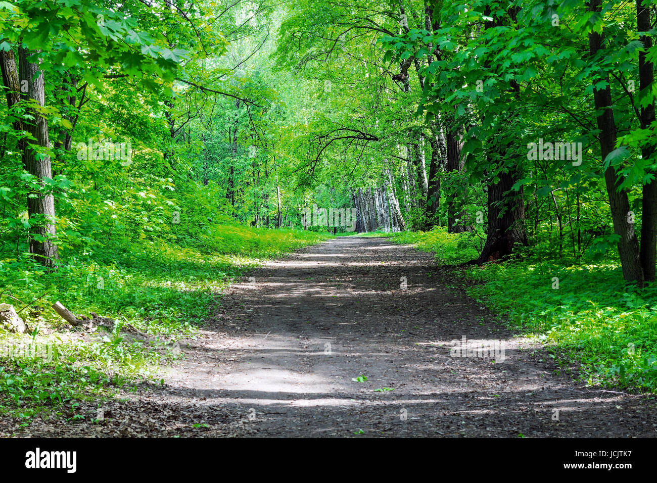 Vieux Chemin à travers les arbres dans les profondeurs du parc Banque D'Images