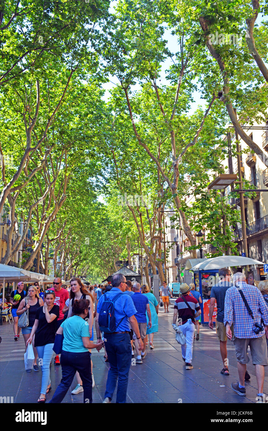 L'avenue La Rambla, Barcelone, Catalogne, Espagne Banque D'Images