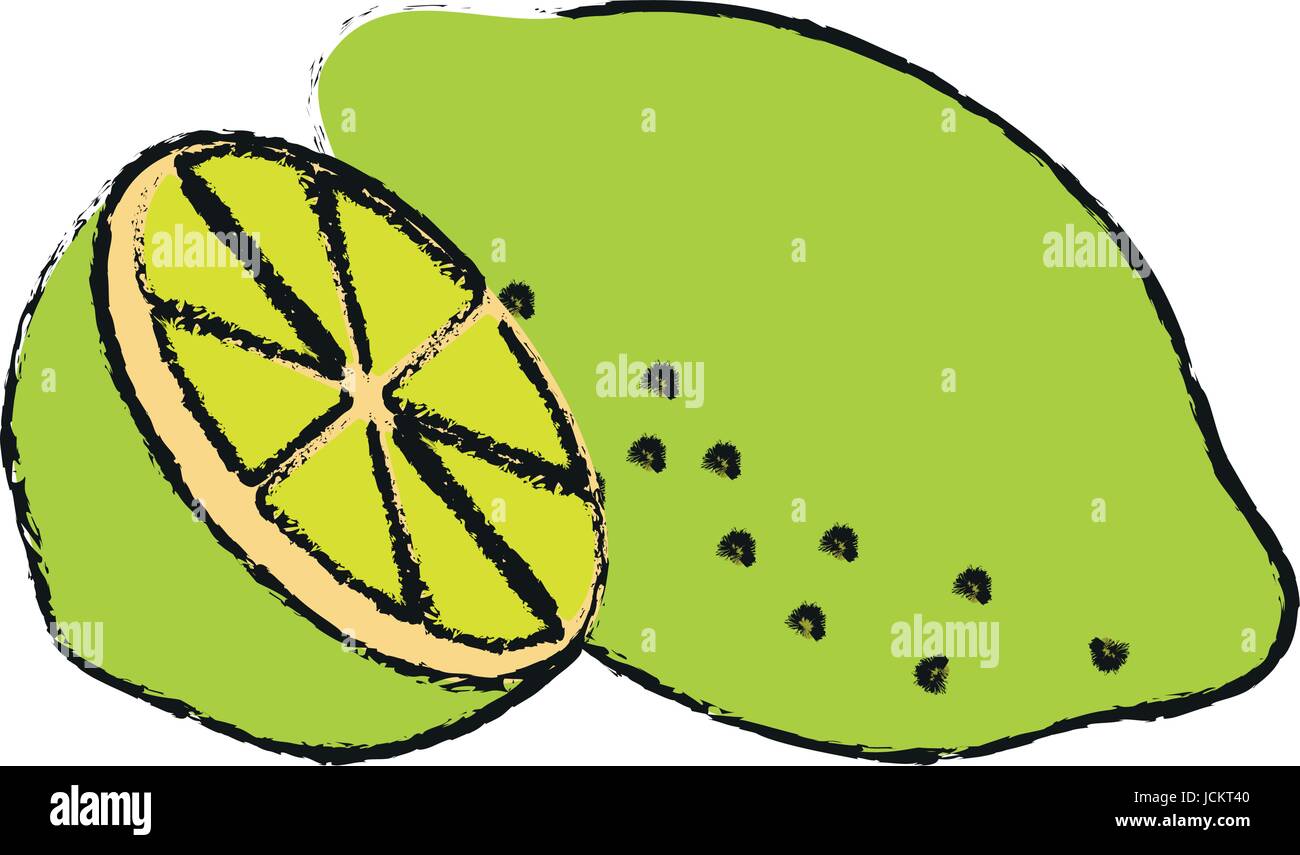 Rafraîchissant d'agrumes citron Illustration de Vecteur