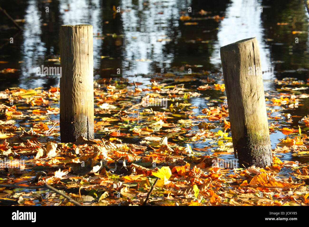 Fischerhude Photos Fischerhude Images Alamy